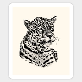 Jaguar Sticker